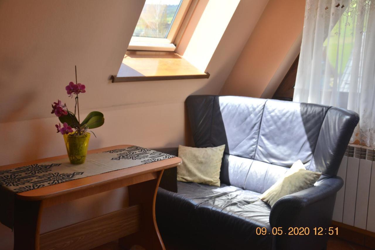 Willa Wiktoria 2 Zakopane Exteriér fotografie